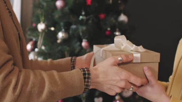 Sevecen Annenin Noel Içinde Portatif Hoparlör Olan Hediye Kutusunu Genç — Stok video