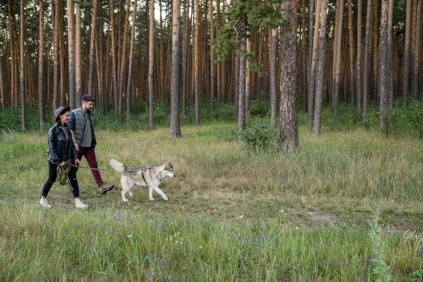 Giovane coppia in casualwear e il loro animale domestico a passeggiare nella foresta — Foto Stock