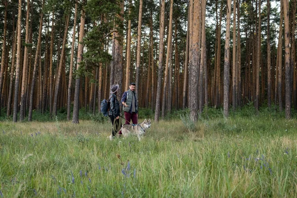 Jovem marido e mulher andando com cão husky — Fotografia de Stock