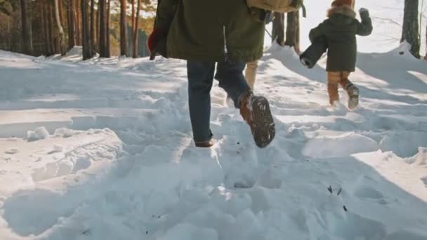 冬の晴れた日に森の中をハイキングしながら 暖かい公園やブーツで認識できない男 子供の足の低セクションの追跡 — ストック動画