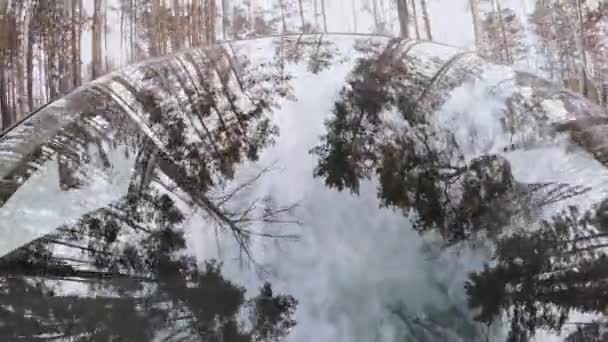 Tiro Capô Carro Movimento Homem Feliz Mulher Dirigindo Floresta Inverno — Vídeo de Stock