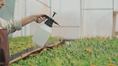 Gülümseyen kadın bahçıvanın serada üzerlerine su sıkarken çiçeklere bakışının yavaş çekimini izliyorum.