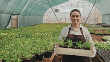 Kafkasyalı orta yaşlı bir kadının serada duran ahşap saksı sandıkla kameraya poz verirken orta yavaş bir portresi.