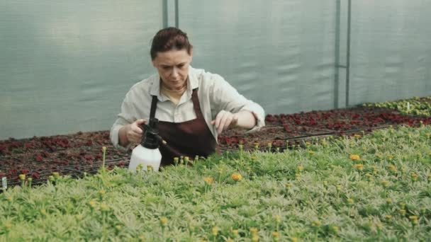 Langzaam Middelmatig Shot Van Een Halfvolwassen Vrouwelijke Tuinman Schort Spuitwater — Stockvideo