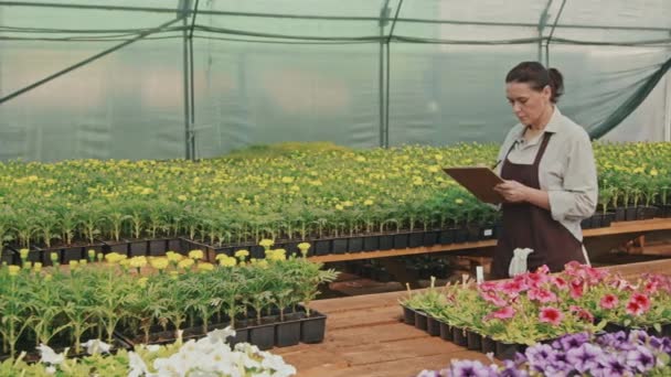 Śledzenie Powolnego Tempa Wzrostu Kobiet Pracowników Szklarni Sprawdzanie Wzrostu Roślin — Wideo stockowe