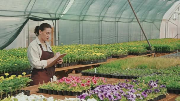 大きな温室のテーブルの上に鉢植えや花を見てエプロンで中大人の女性のスローショットクリップボード上のメモを取ります — ストック動画