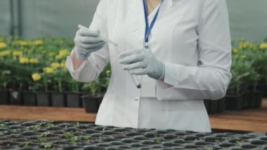 Orta bölüm PAN, yavaş çekimde tanınmayan kadın tarım mühendisi ya da laboratuvar önlüklü bilim adamı toprak örneği alarak serada araştırma yaparak verimliliği analiz etmek için test tüpüne koydu.