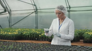 Laboratuvar önlüğü ve güvenlik gözlüğü takan kadın tarım mühendisi ya da bilim adamının yavaş çekimleri ile orta büyüklükte PAN serada araştırma yaparken toprak örneğini test tüpüne koyuyor.