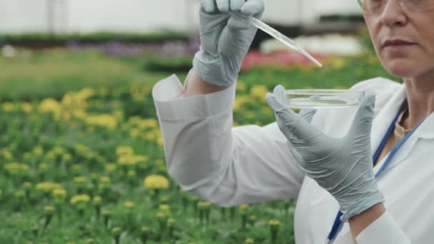 Pan Recortado Inyectado Con Lentitud Científica Bata Laboratorio Haciendo Investigación — Vídeos de Stock