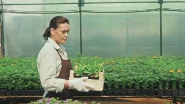 Yetişkin beyaz bir kadının serada büyüyen saksı bitkileri ve çiçekler arasında yürürken çekilmiş uzaktan kumandalı bir kamera görüntüsü. Elinde ev bitkileriyle ahşap vinç var.