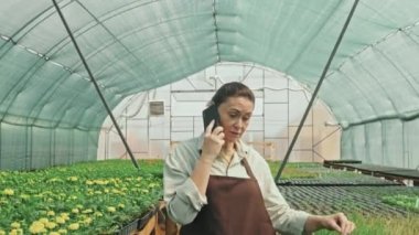Orta yaşlı, beyaz, apronlu kadın bahçıvanın, büyük çağdaş serada yürürken telefon görüşmesi yaptığı orta boy bir fotoğraf.