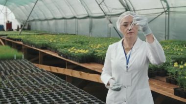 Orta yaşlı kadın tarım bilimcisinin laboratuvar önlüğü ve güvenlik gözlükleriyle test tüpündeki toprak örneğine bakarken serada bir sürü bitki ve çiçekle durduğu orta büyüklükte PAN yavaş çekimi.