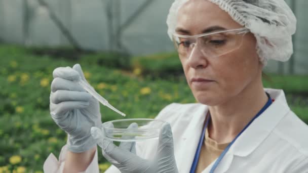 Slowmo Medium Zbliżenie Poważnego Naukowca Rolniczego Kobiet Przy Użyciu Pipety — Wideo stockowe