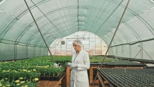 Tracking Shot Female Agricultural Inspector Lab Coat Using Electronic Thermometer — Vídeo de stock