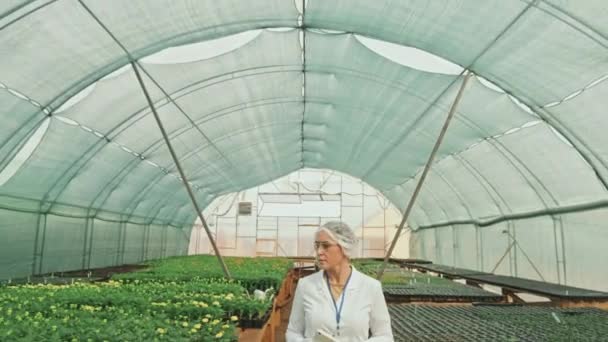 Rastreamento Tiro Médio Engenheiro Agrícola Feminino Jaleco Óculos Segurança Com — Vídeo de Stock