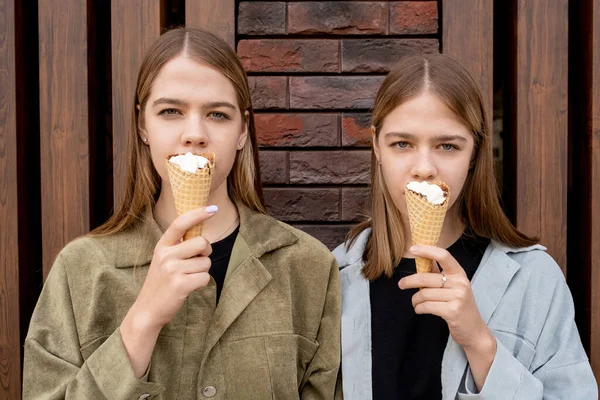 Gêmeos bonitos segurando cones de gelado por seus rostos — Fotografia de Stock