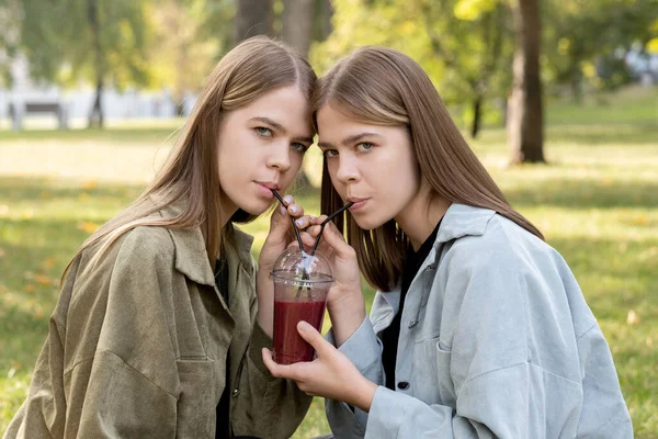 Blondýny dvojčata pití džus nebo ovocný koktejl přes brčka — Stock fotografie