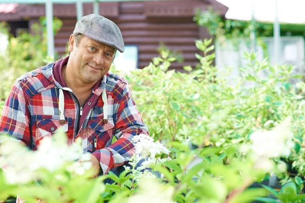 Volwassen tuinman — Stockfoto