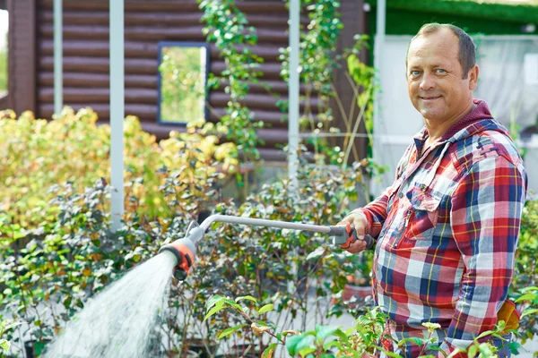园丁浇灌植物 — 图库照片