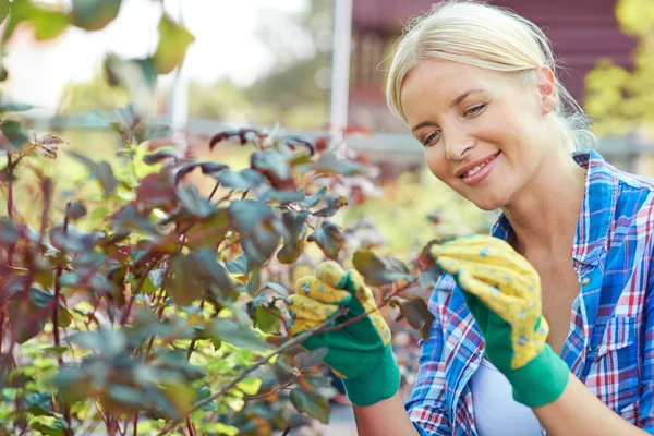 Jardineiro cuidando de plantas — Fotografia de Stock