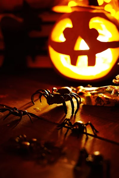 Araignées d'Halloween et Jack-o-lanterne — Photo