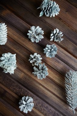 Dekoratif gümüş koniler ve kozalaklı