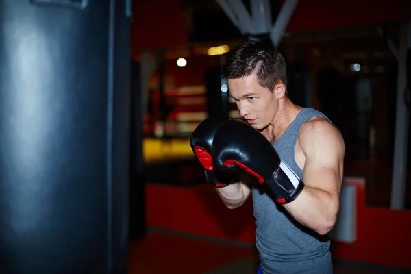 Boxeador em luvas de boxe — Fotografia de Stock