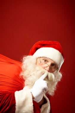 Santa Claus carrying sack