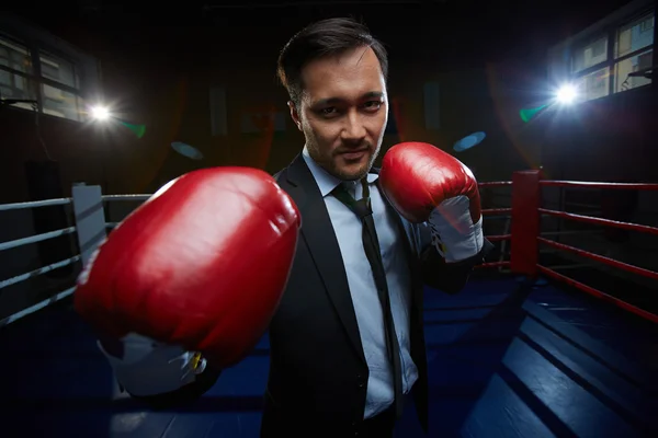 Businessmen in suit and boxing gloves — Stock Photo, Image