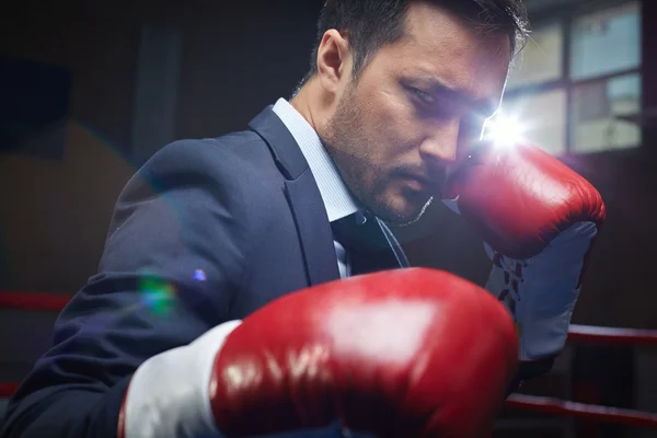 Zakenman in bokshandschoenen — Stockfoto