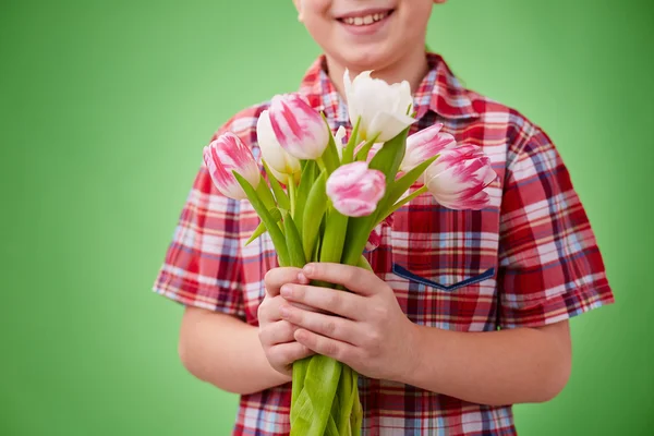 Liten pojke anläggning tulpaner — Stockfoto