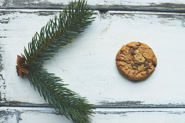 Biscuit and conifer — Stock Photo, Image