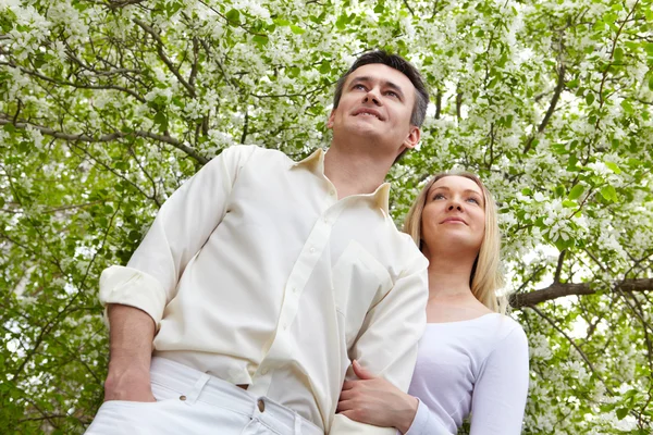 Couple among blooming apple trees — Stock Photo, Image