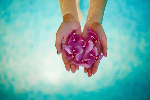 Roze bloemen op vrouwelijke palmen — Stockfoto