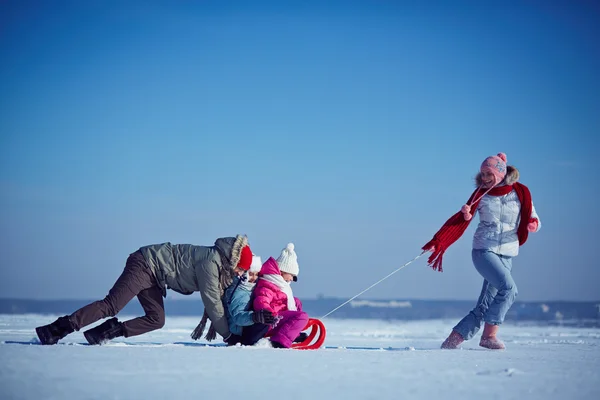 Siblings and parents sledging — Stock Photo, Image