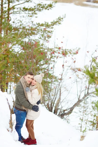 Casal abraçando na floresta de inverno — Fotografia de Stock