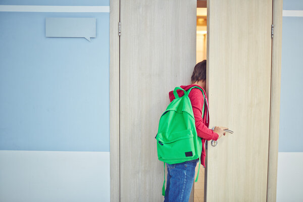 Happy schoolboy with backpack