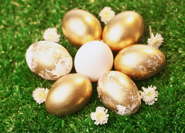 Beyaz ve altın yumurta — Stok fotoğraf
