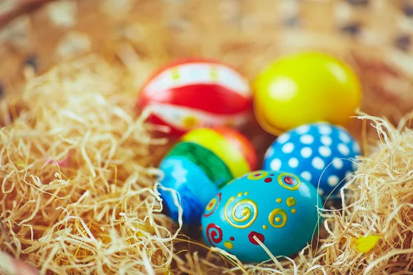 Huevos de Pascua en el nido —  Fotos de Stock