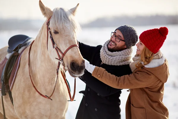 Pareja feliz mirando a caballo —  Fotos de Stock