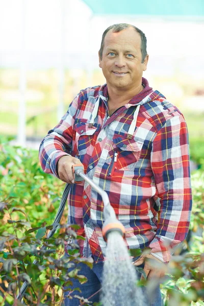 Homem regando no jardim — Fotografia de Stock