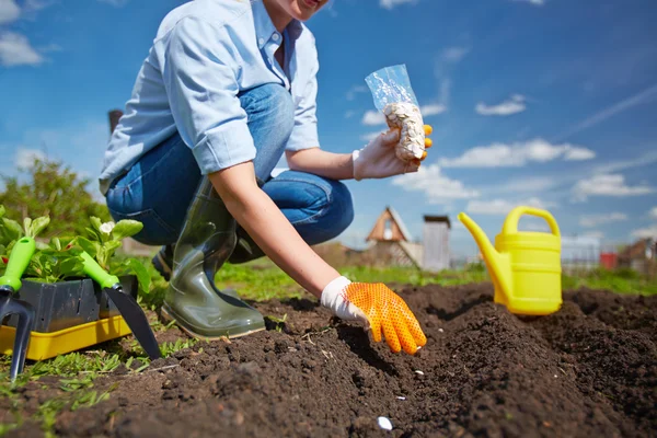 Plantanteagricultor semeando sementes no jardim — Fotografia de Stock