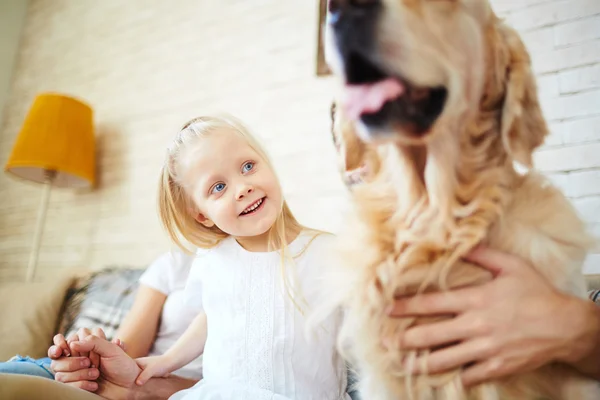 Kleines Mädchen schaut Hund an — Stockfoto