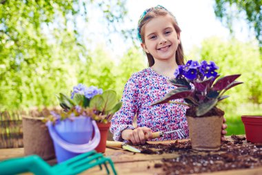 Afrika Menekşe süreçte kız