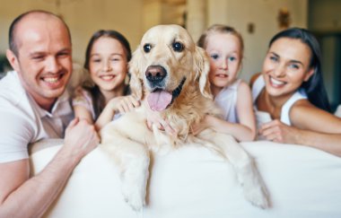 Köpek ailesi tarafından çevrili