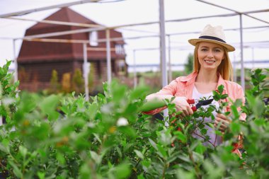 Bahçıvan kesme yaprakları