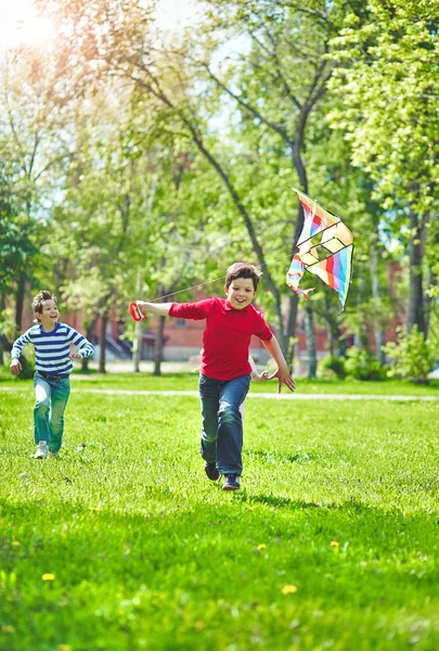 Chłopcy gry z latawca w parku — Zdjęcie stockowe