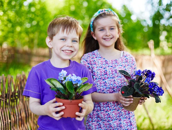 Friends with newly planted violets — Stock Photo, Image