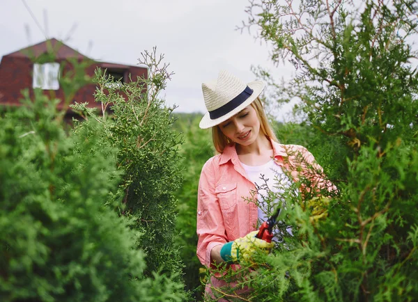 Kobieta, dbanie o thuja — Zdjęcie stockowe