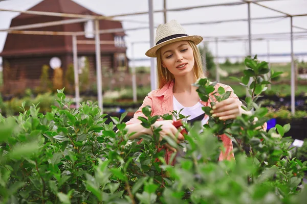 Jardinero cortar hojas — Foto de Stock